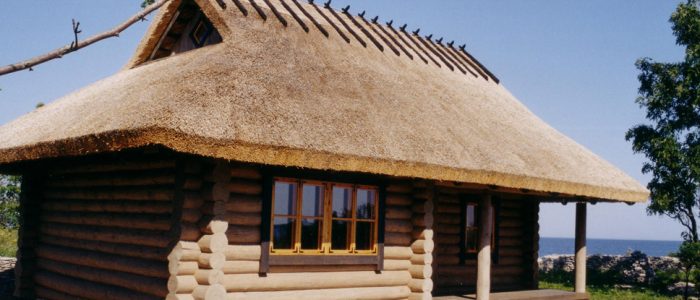датская крыша из камыша